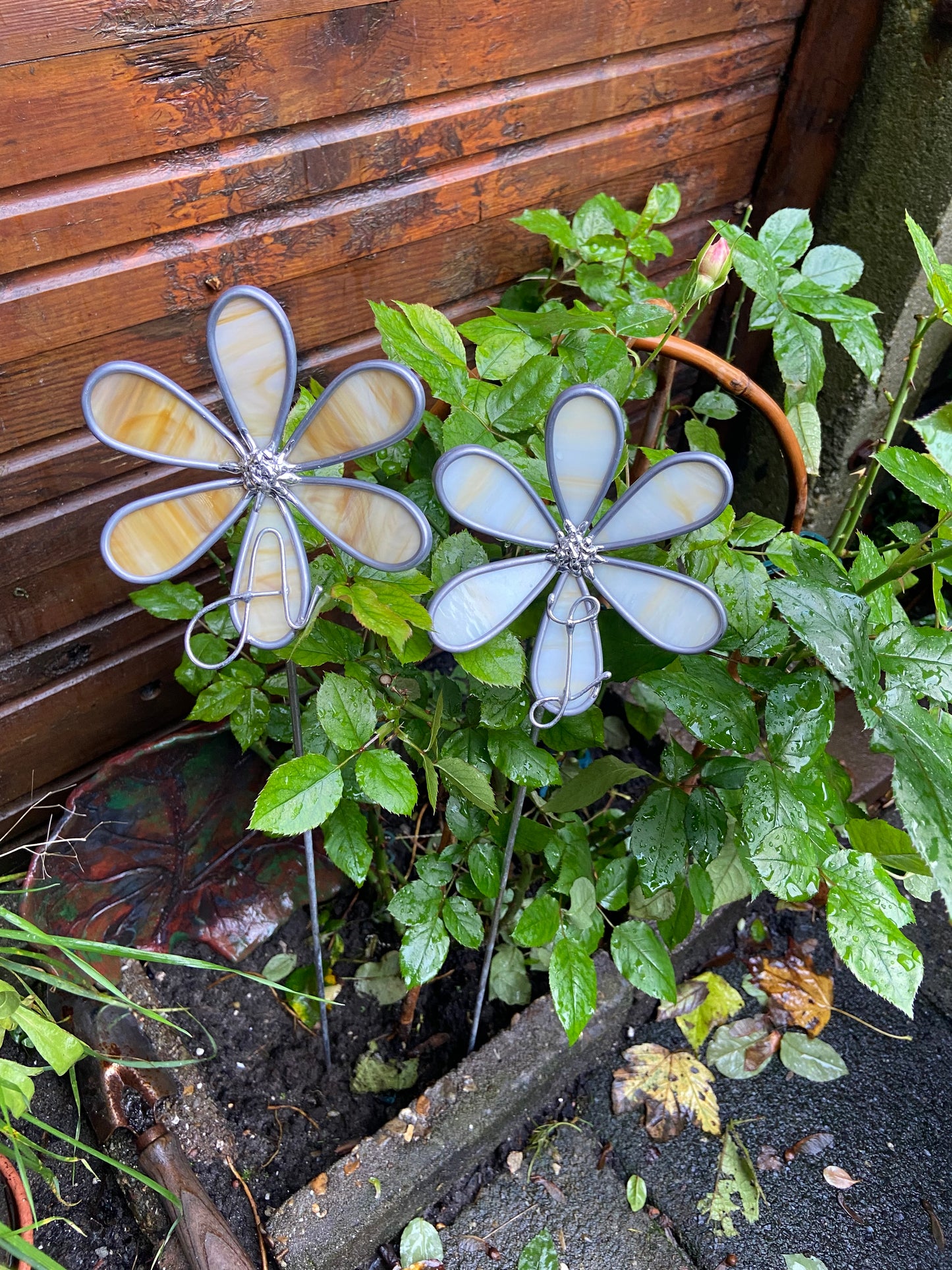 Gedenkblume