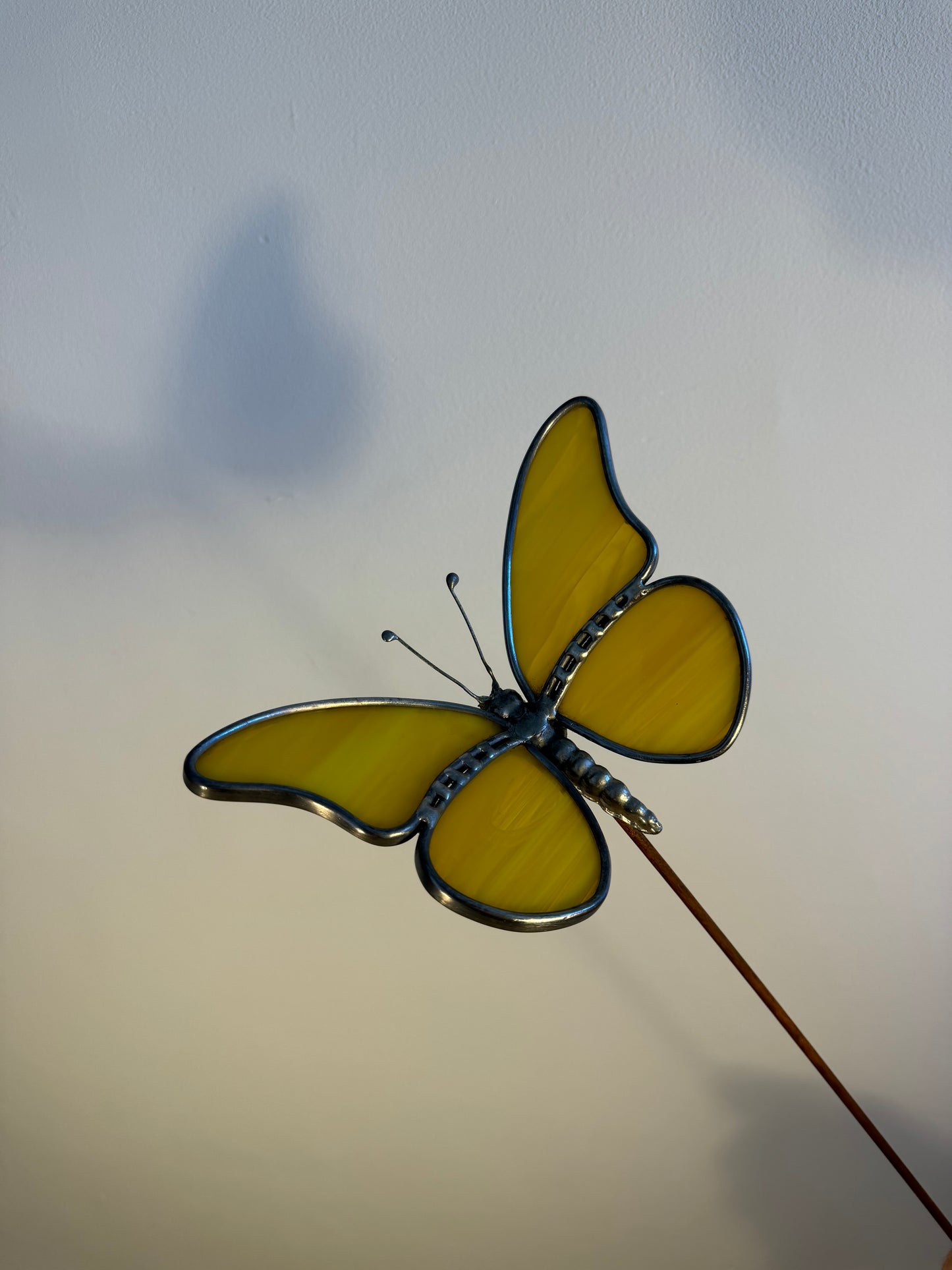 Schmetterling