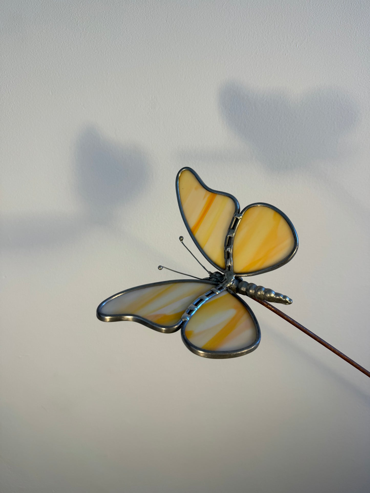 Schmetterling