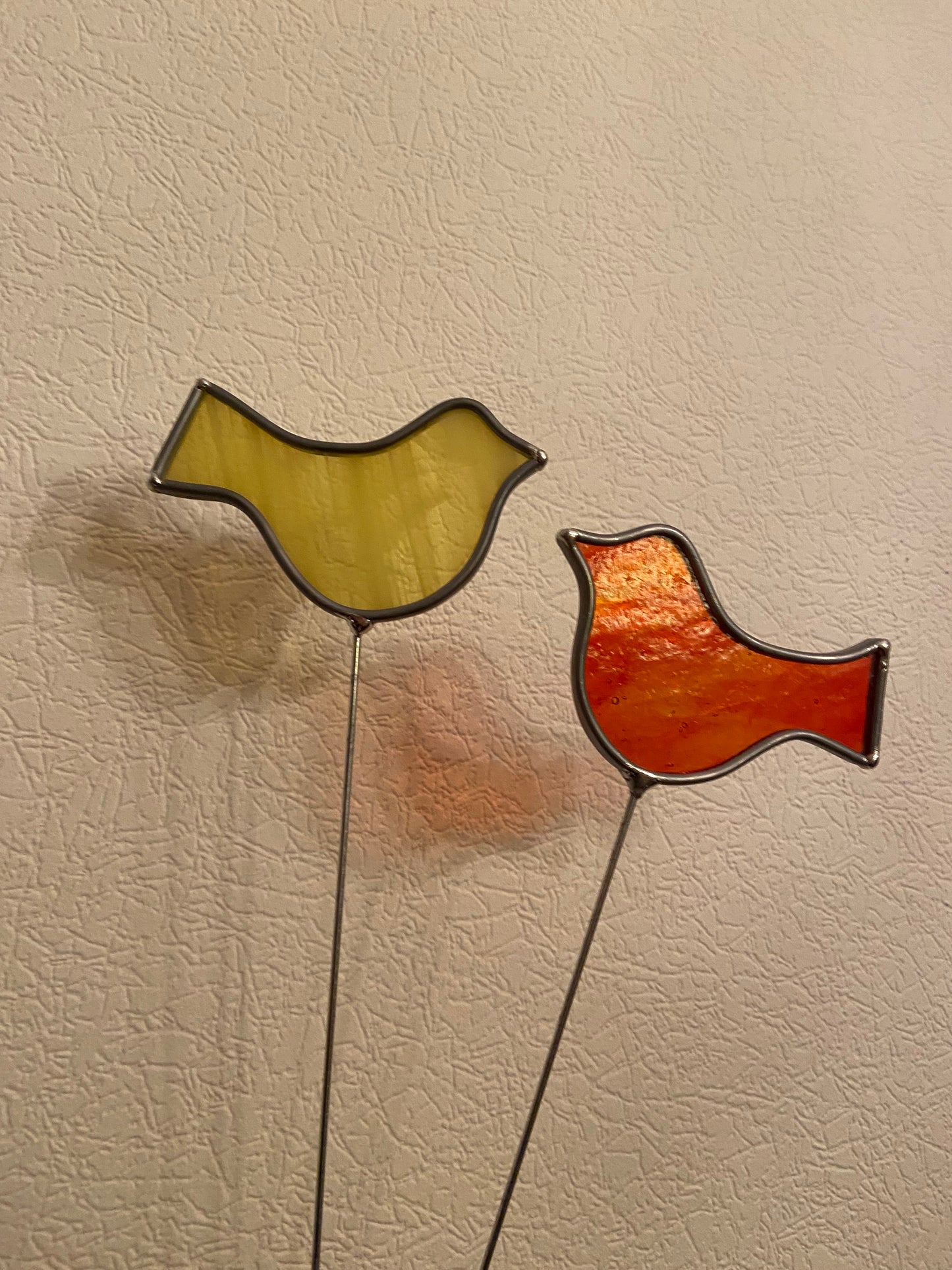 Buntglasvogel