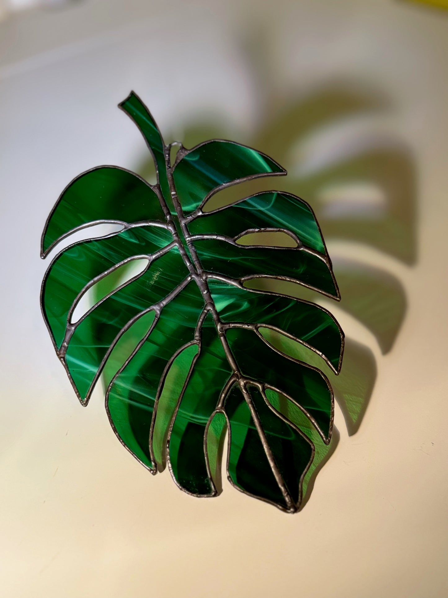 Monstera leaf