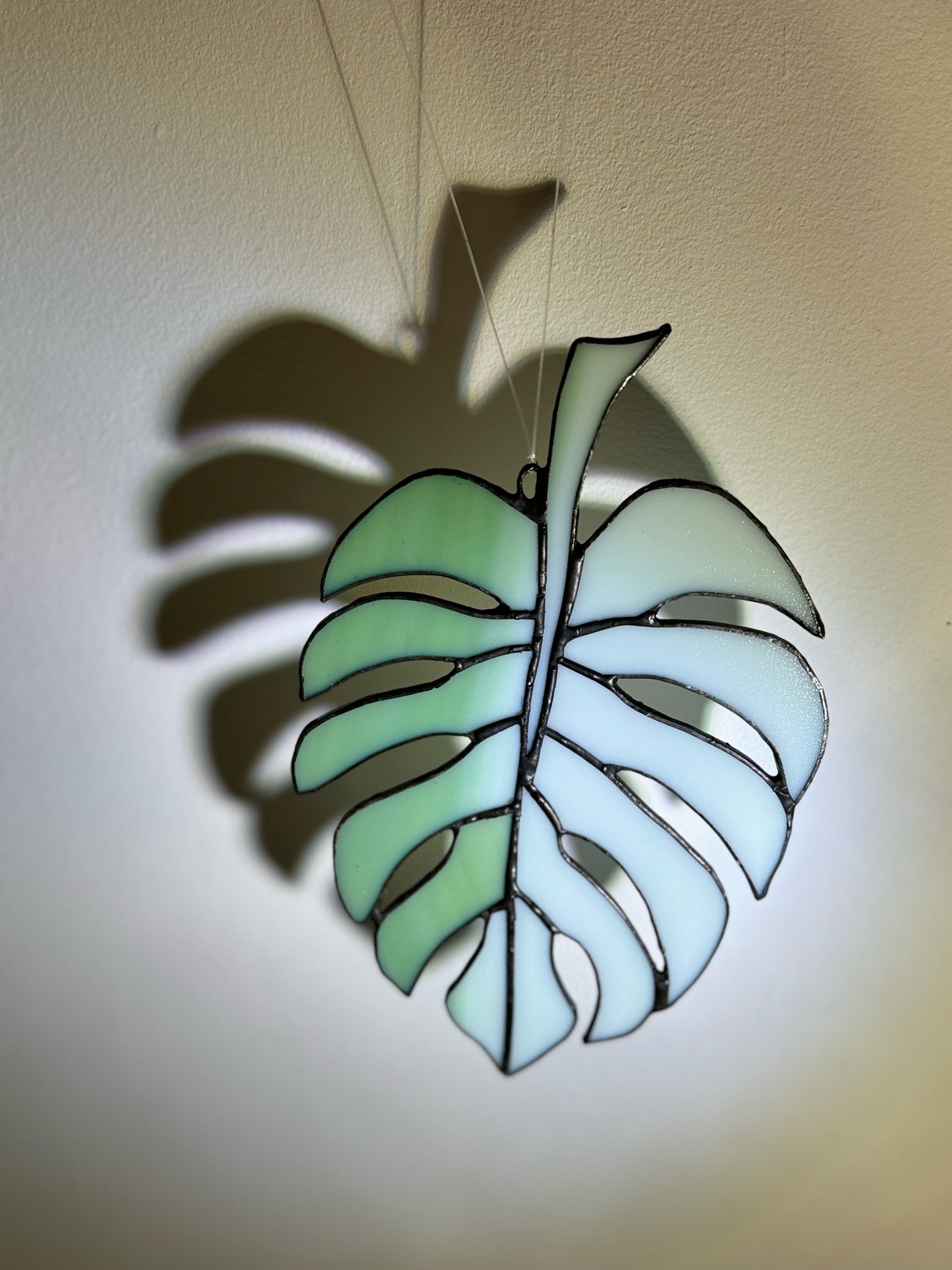 Monstera blad