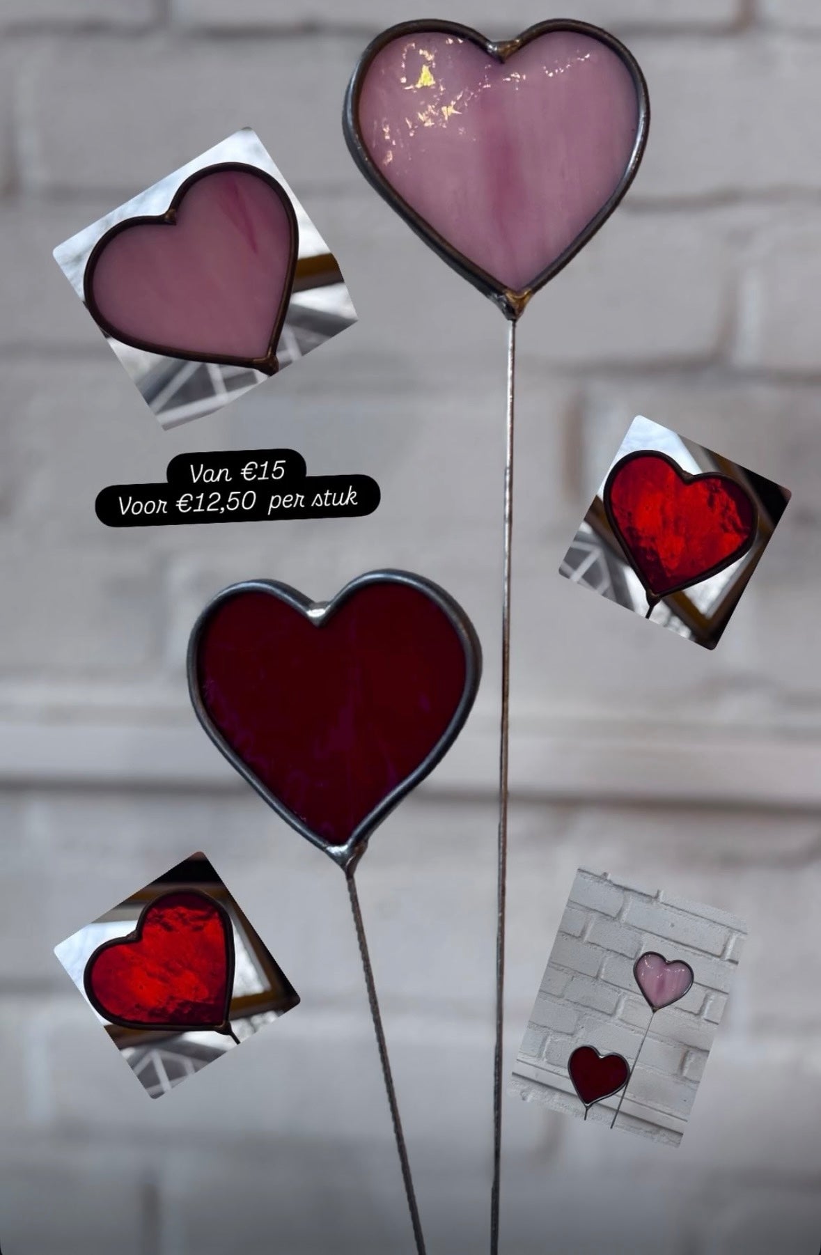 Valentijns plantensteker