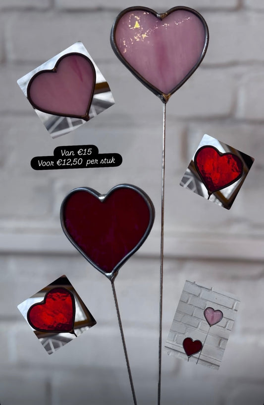 Valentijns plantensteker