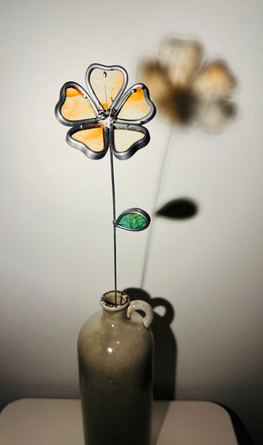 Blume